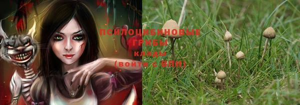 каннабис Баксан