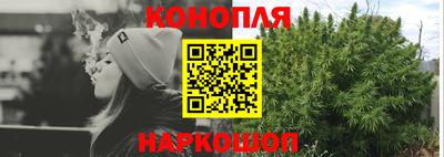 гашик Берёзовский