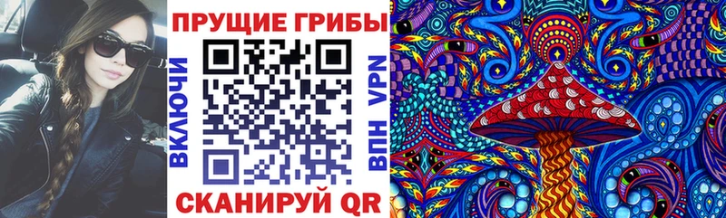 что такое наркотик Бирск блэк спрут сайт Галлюциногенные грибы GOLDEN TEACHER