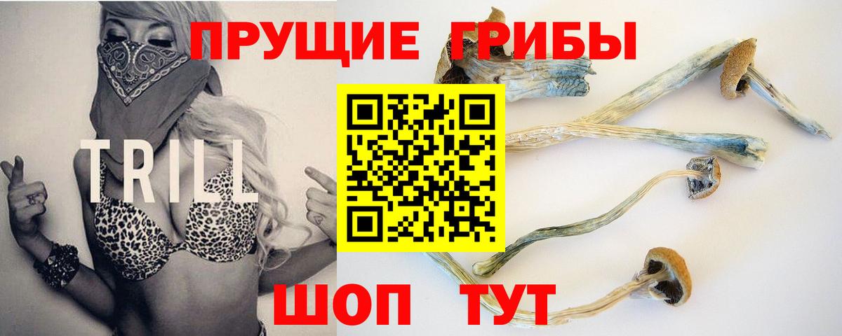 Псилоцибиновые грибы Psilocybe  Бирск 