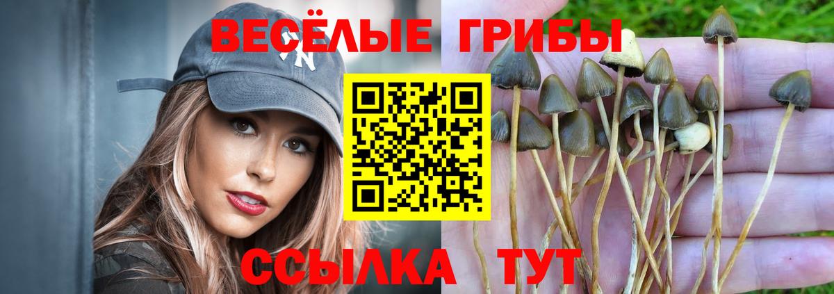 Галлюциногенные грибы мухоморы  Вход с VPN  купить наркоту  Бирск  Галлюциногенные грибы мухоморы 