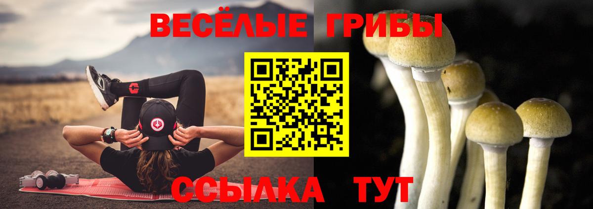 Галлюциногенные грибы мухоморы Бирск